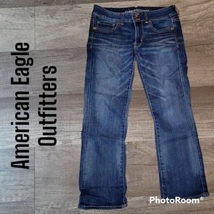 American Eagle Artist Crop Sz 4